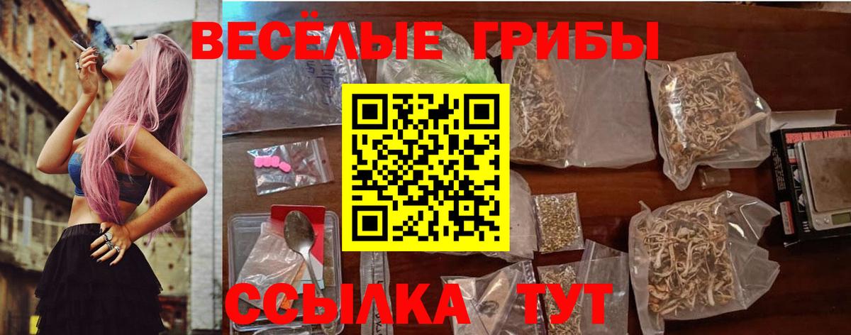 Истра  Галлюциногенные грибы Psilocybine cubensis  Галлюциногенные грибы MAGIC MUSHROOMS  Вход с VPN 